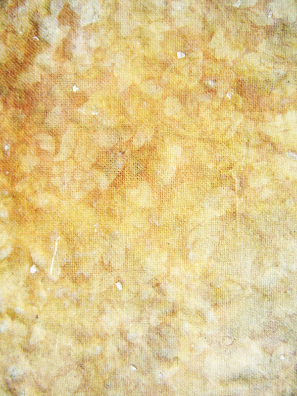 Autumntex 02