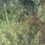 Rocky 03