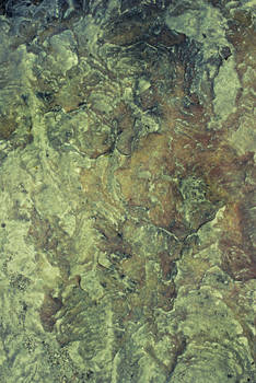 Rocky 03