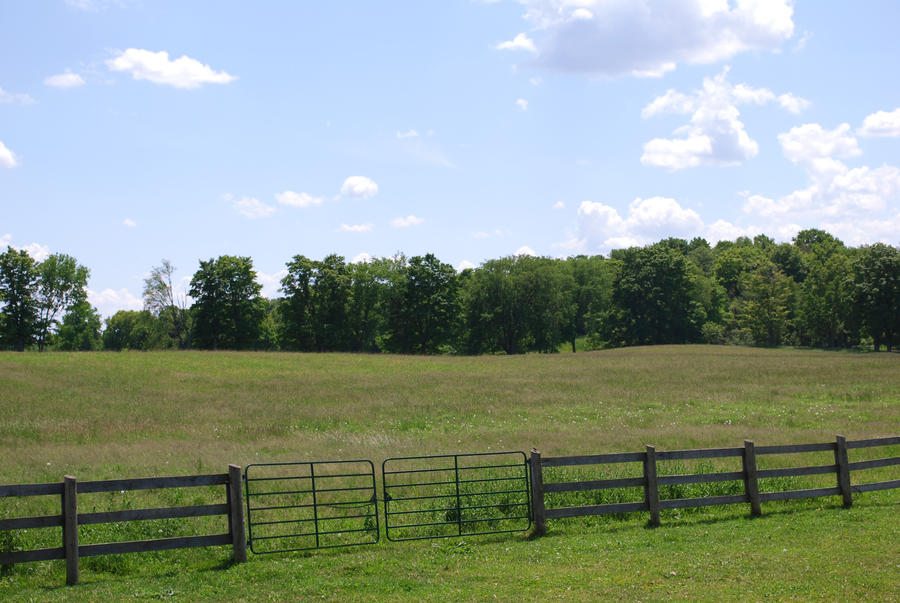 Meadow Fence Stock