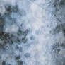 Ice and Snow Texture 1