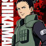 Shikamaru Nara