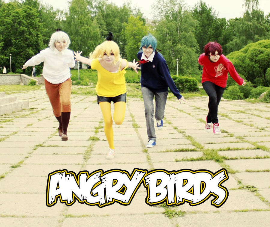 Angry birds cosplay