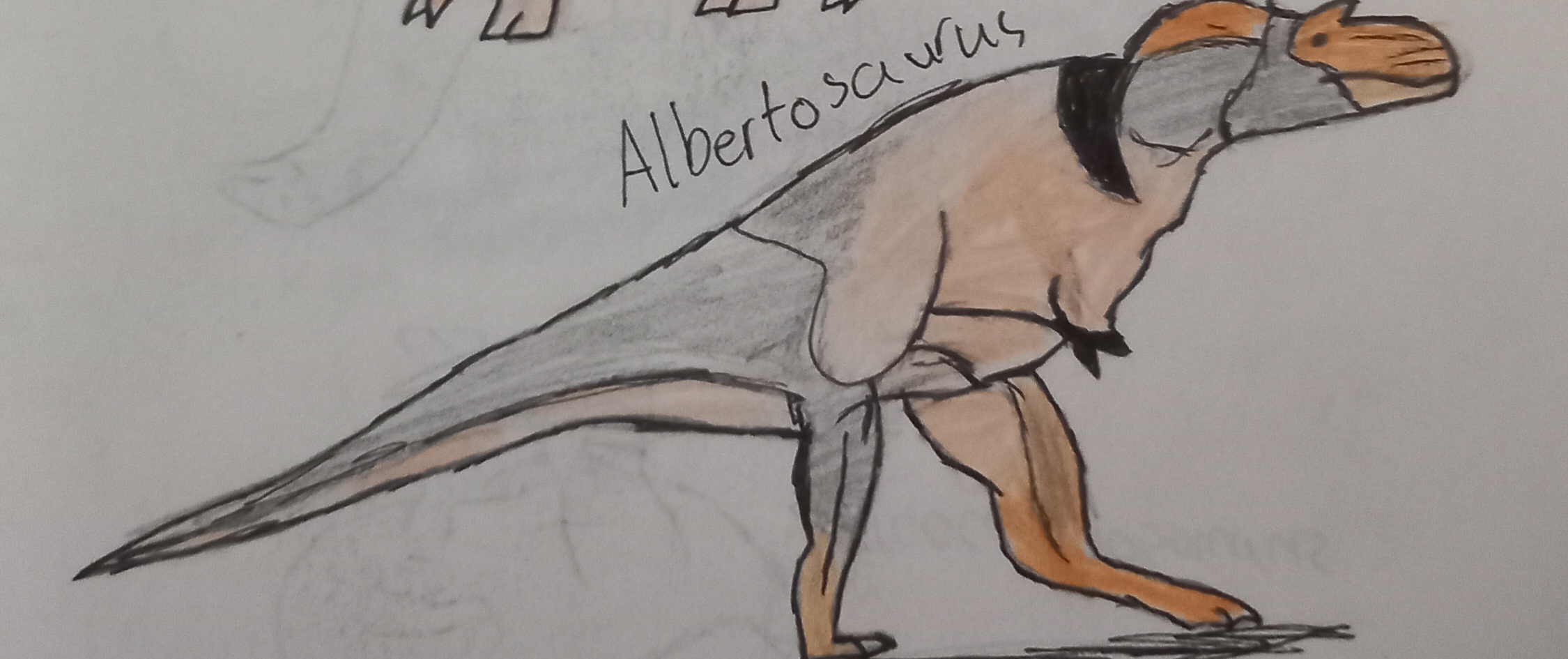 Albertosaurus by Suchogamer on DeviantArt