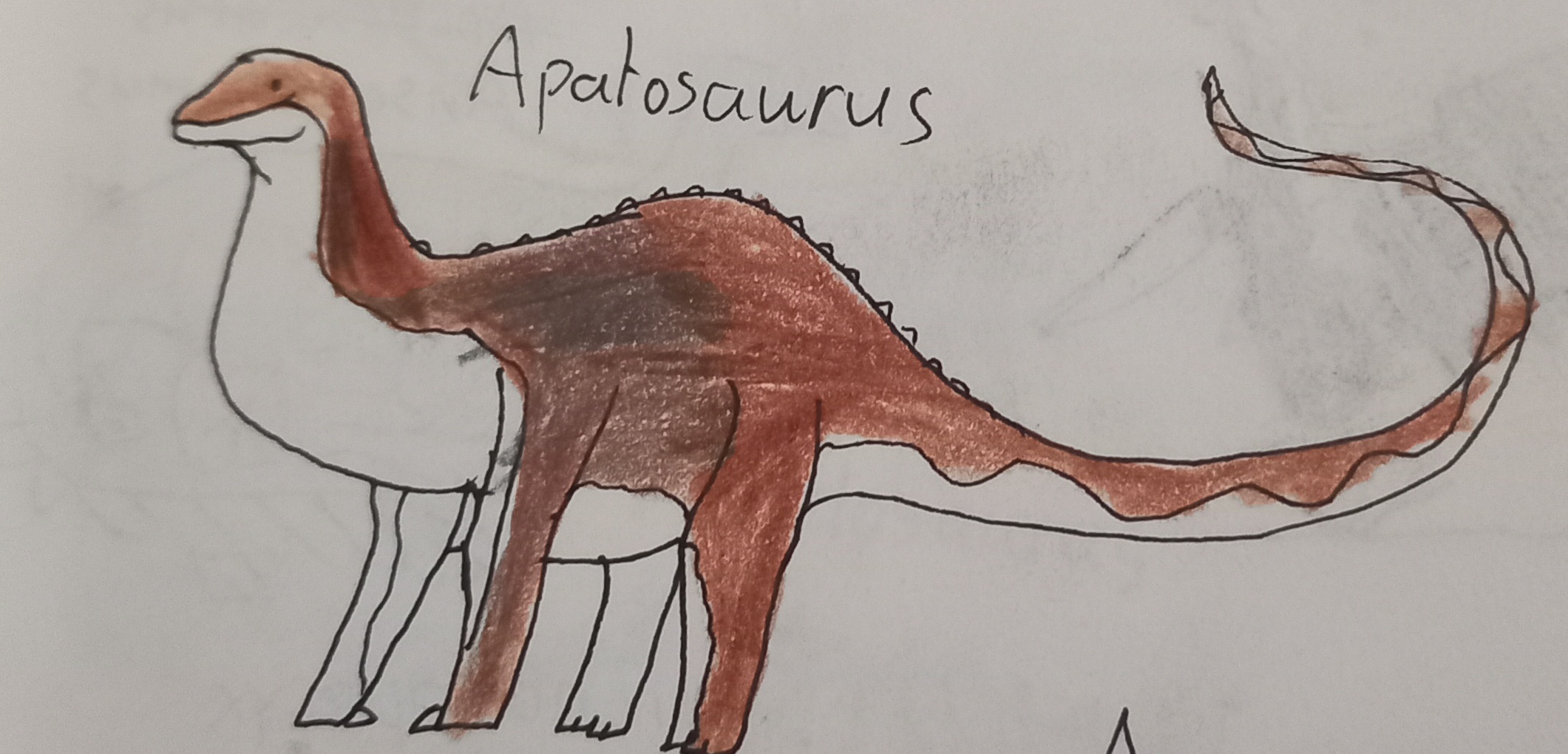 Apatosaurus by Suchogamer on DeviantArt