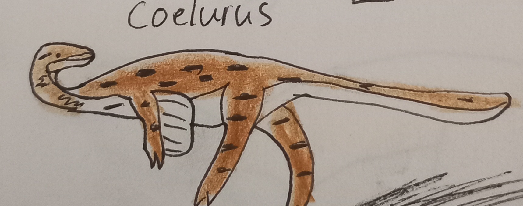 Coelurus Deviantart Coelurus by Suchogamer on DeviantArt