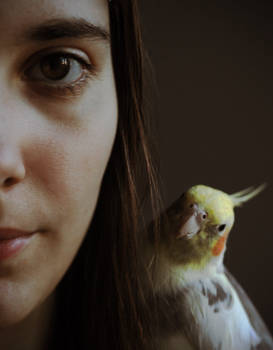 A girl and her bird