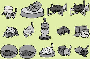 F2U Neko Atsume Bases 1