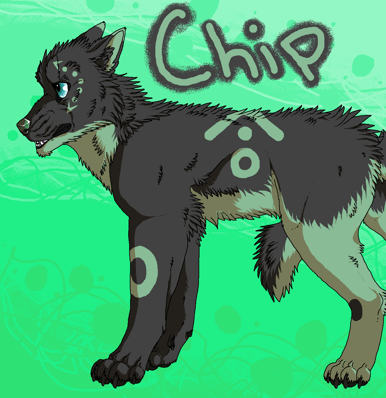 Chip