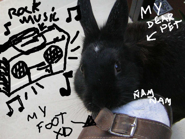 TRUE ROCKER RABBIT by therockerrabbit on DeviantArt