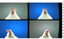 DiscoChicken