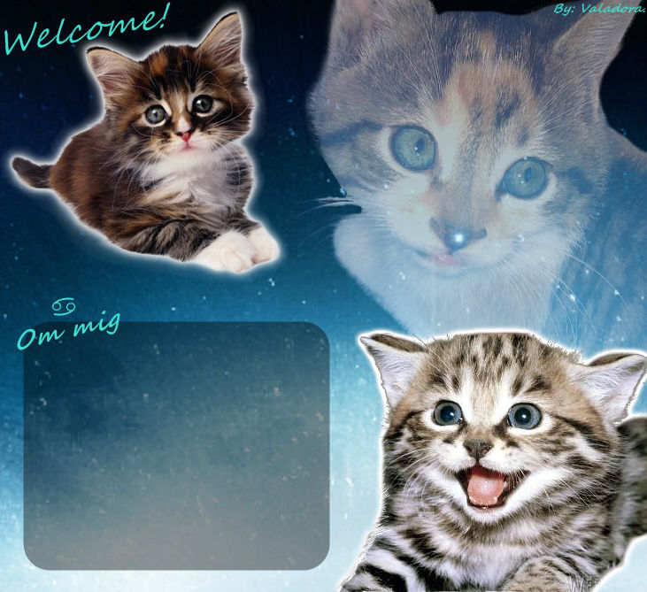 Cat Layout by C-Puska on DeviantArt