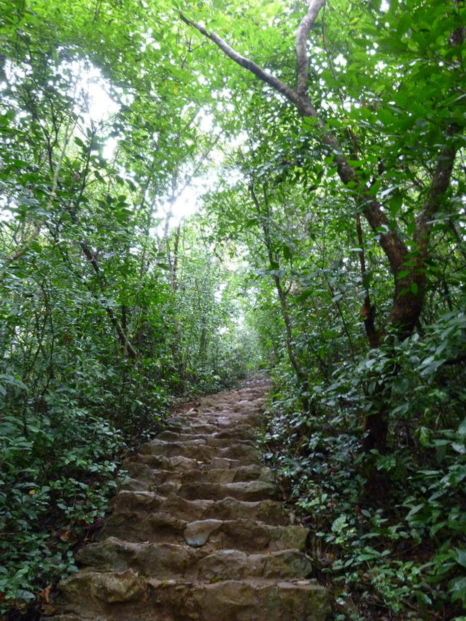 Stone steps in the jungle-Stock-by-GothLyllyOn