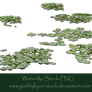 Waterlily-Stock-by-GothLyllyOn-Stock