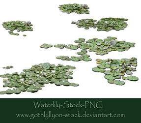 Waterlily-Stock-by-GothLyllyOn-Stock