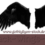 Black Wings-by-GothLyllyOn-Stock