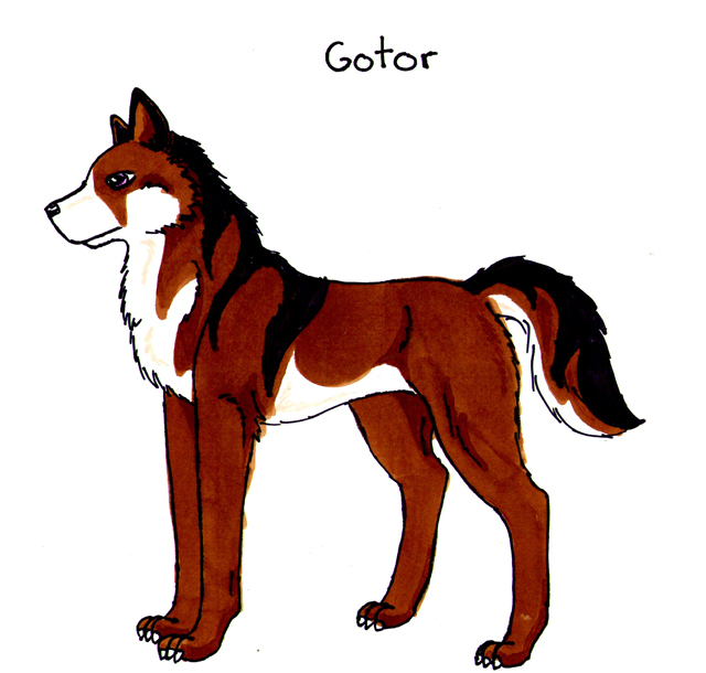 Gotor