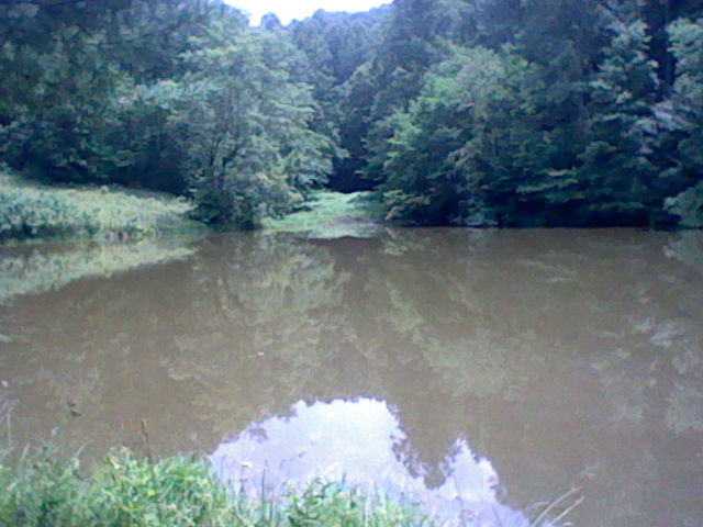 Charle Fork Lake Pond