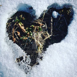 from Winter with love