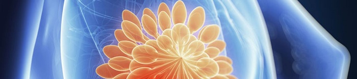 Cholera11.jpg
