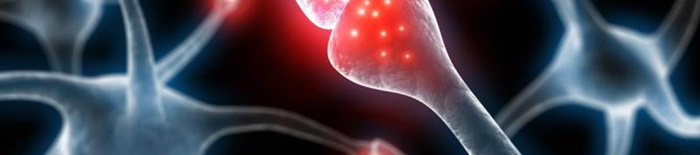 Polyneuritis1.jpg