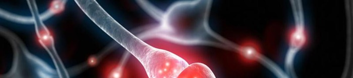 Polyneuritis1.jpg