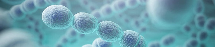 Dermatophytose1.jpg