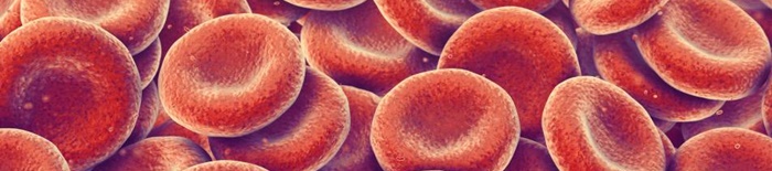 desmesothelialenGewebes1.jpg