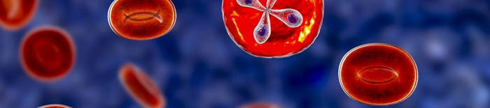 Dermatophytose1.jpg