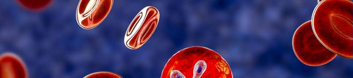Dermatophytose1.jpg