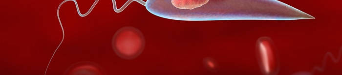 Dermatophytose1.jpg