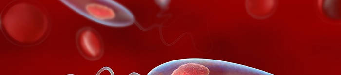 Dermatophytose1.jpg