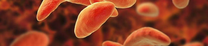 Dermatophytose1.jpg