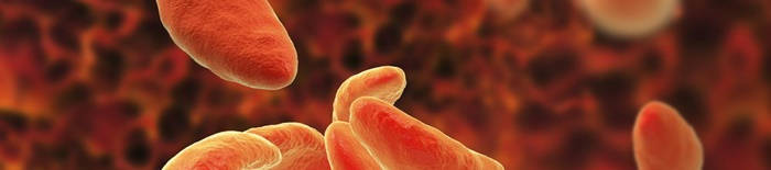 Dermatophytose1.jpg