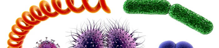 Dermatophytose1.jpg