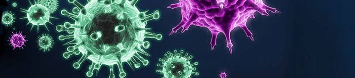 Dermatophytose1.jpg