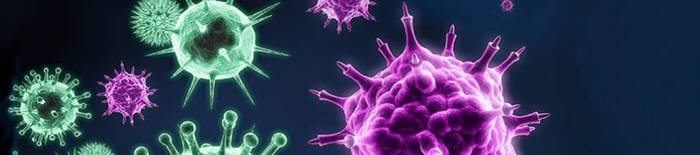 Dermatophytose1.jpg