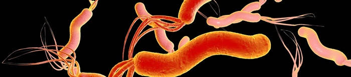 Dermatophytose1.jpg