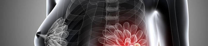 desmesothelialenGewebes1.jpg