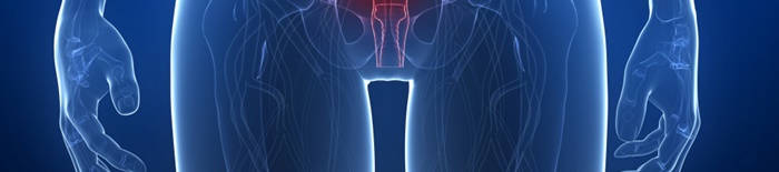 desmesothelialenGewebes1.jpg