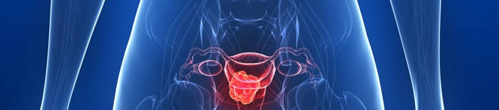 desmesothelialenGewebes1.jpg
