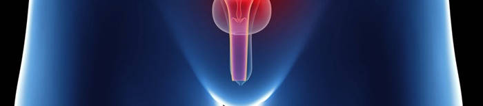 desmesothelialenGewebes1.jpg