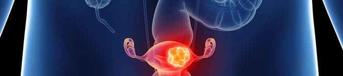 desmesothelialenGewebes1.jpg