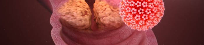 desmesothelialenGewebes1.jpg