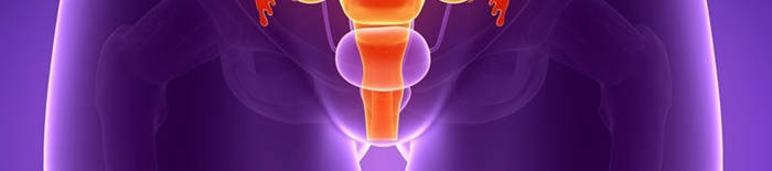 desmesothelialenGewebes1.jpg
