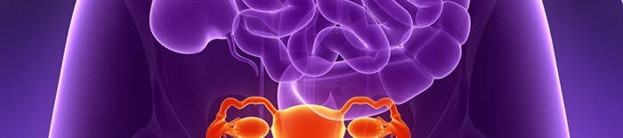 desmesothelialenGewebes1.jpg