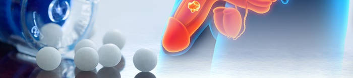 desmesothelialenGewebes1.jpg