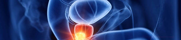 desmesothelialenGewebes1.jpg