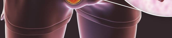 desmesothelialenGewebes1.jpg