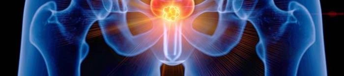 desmesothelialenGewebes1.jpg